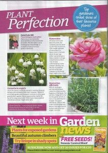 Garden News Paula Pryke
