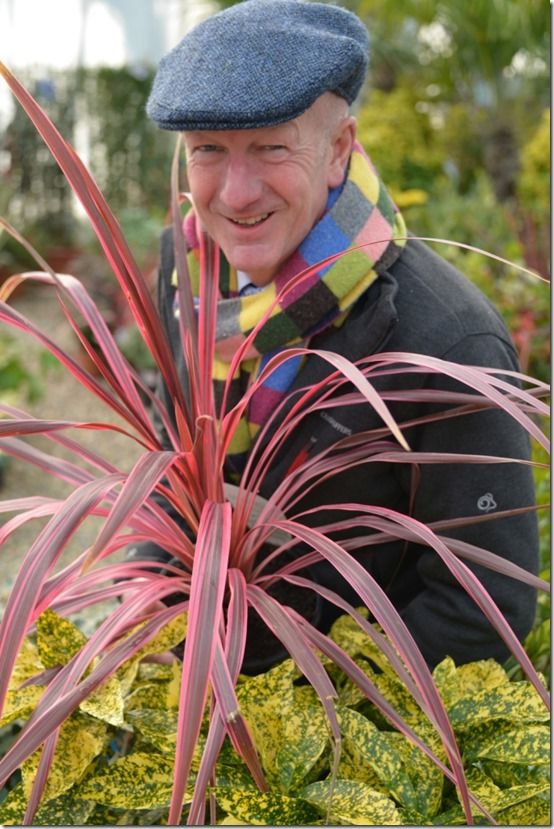 choose a plant to lead the scheme 