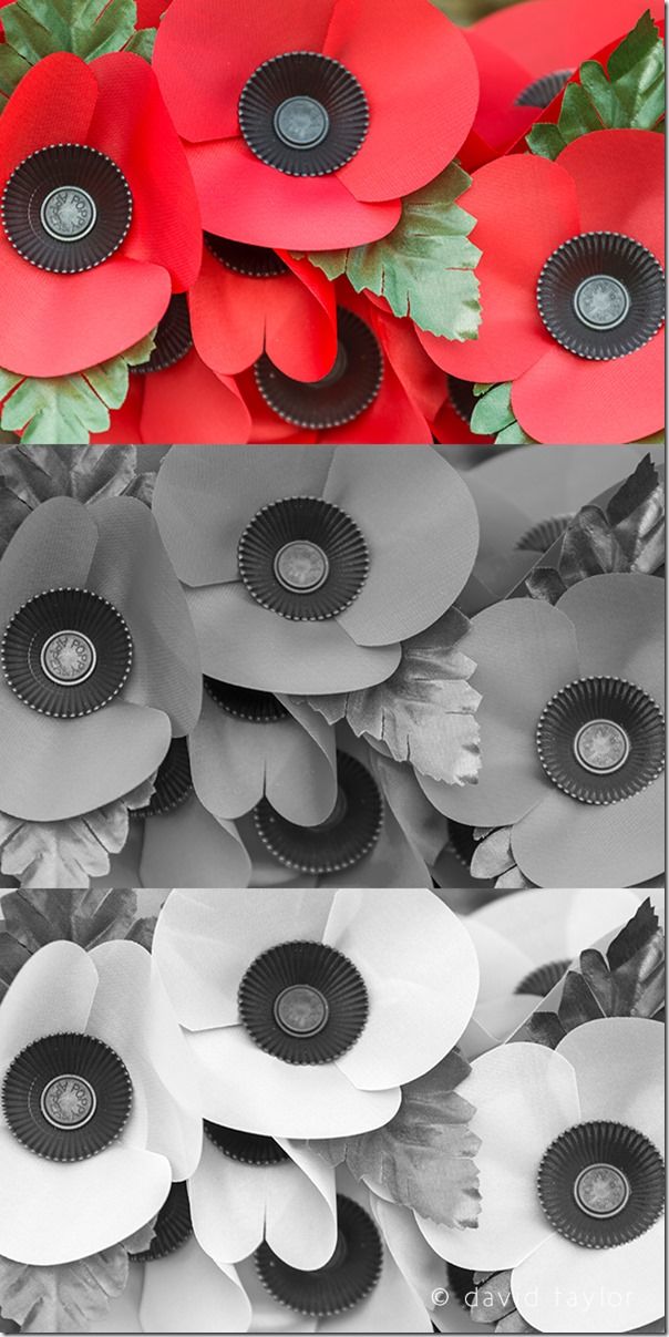 Poppies on a war memorial in the Northumbrian village of Wark, Northumberland, England