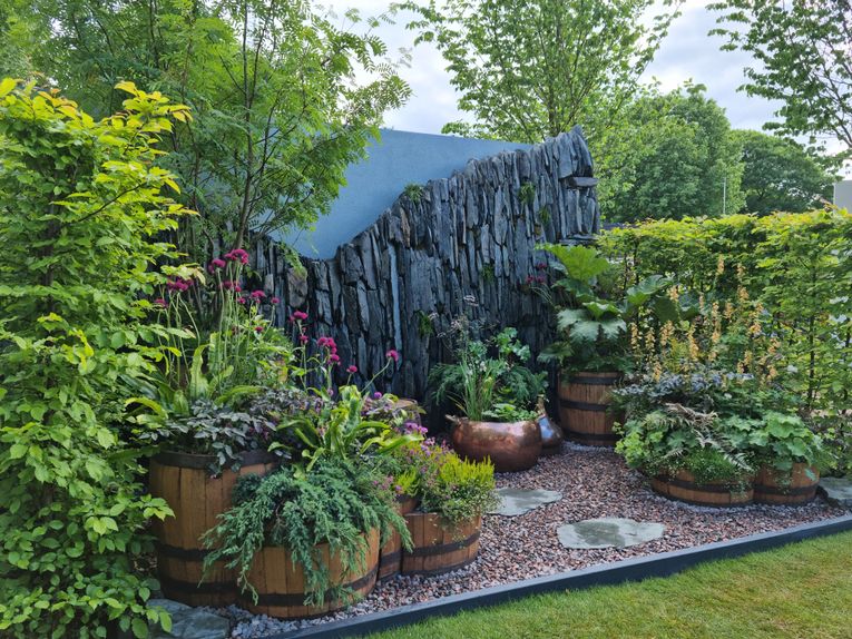 Rain gardens / RHS Gardening
