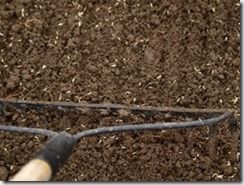 Online courses, sowing a new lawn, how to sow a new lawn, grass seed, lawns, lawn seed, Lawn care, Lawn maintainance, Ground preparation, grass seed mix,