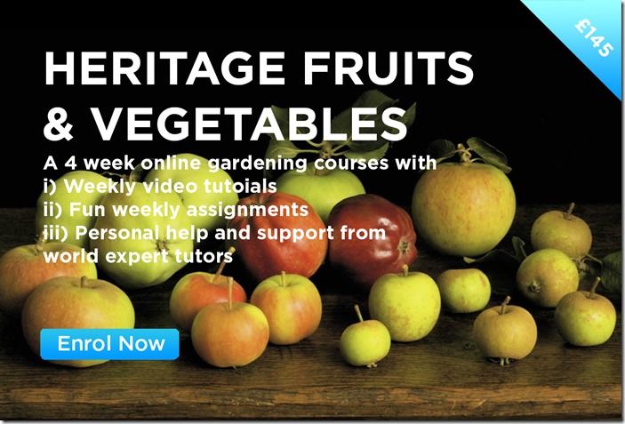 HERITAGE FRUITS & VEGETABLES 1