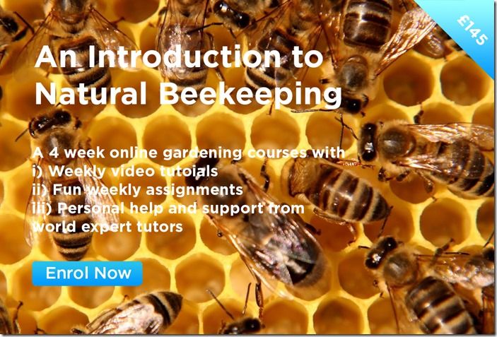 An Introduction to Beekeeping