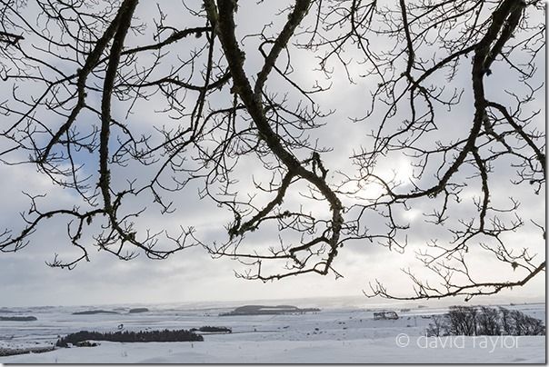 Snow-covered landscape between Housesteads Fort and Milecastle 37, Northumberland National Park, England