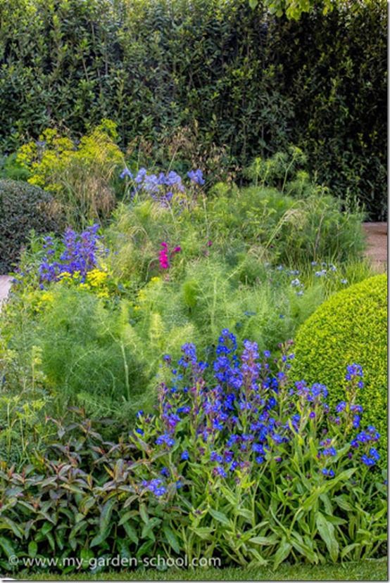 Chelsea Flower Show 2014 The Telegraph Garden7