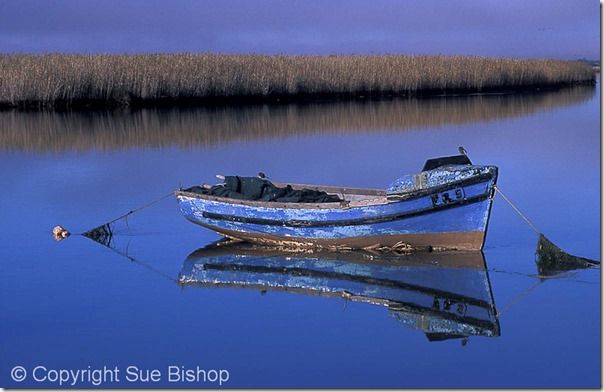 108 blue boat