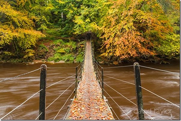 Suspension bridge over the River Allen at Allen Banks, Northumberland, England