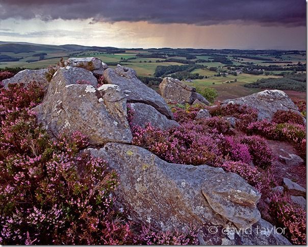 Harbottle crags near the Drake Stone on a stormy summer's evening, Northumberland National Park, England