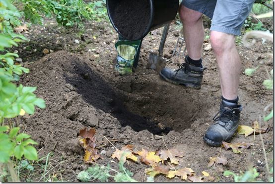 Add planting compost