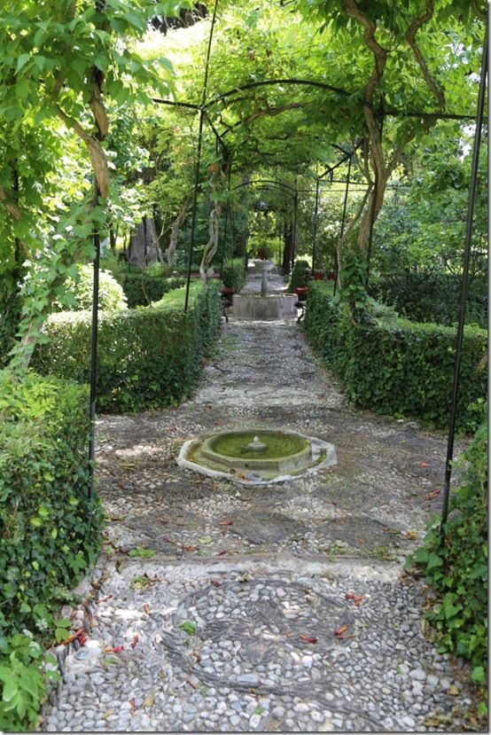 4 Vista through the garden 