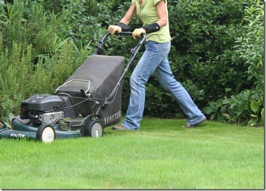 Online courses, sowing a new lawn, how to sow a new lawn, grass seed, lawns, lawn seed, Lawn care, Lawn maintainance, Ground preparation, grass seed mix,