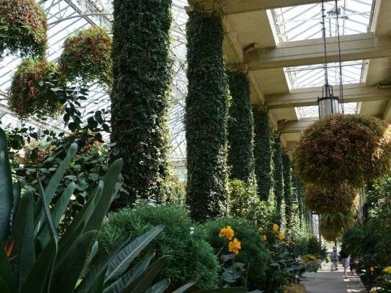 Longwood Glashouse
