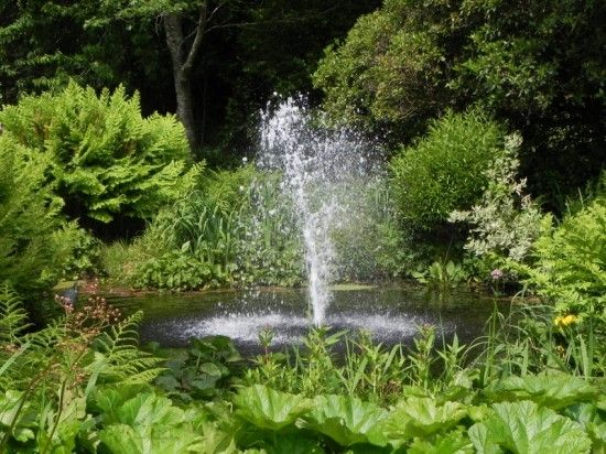 1Fountain pool  (800x600)