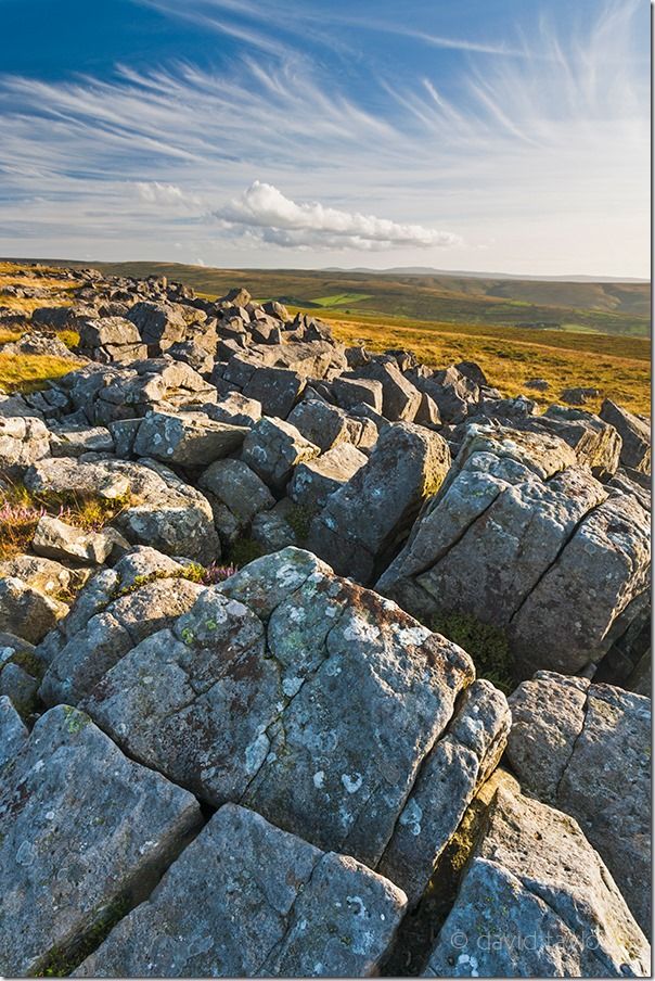 Late afternoon in summer, looking over Greenleycleugh Crags on  Kevelin Moor above Allendale and the Allen Valley, Northumberland, England