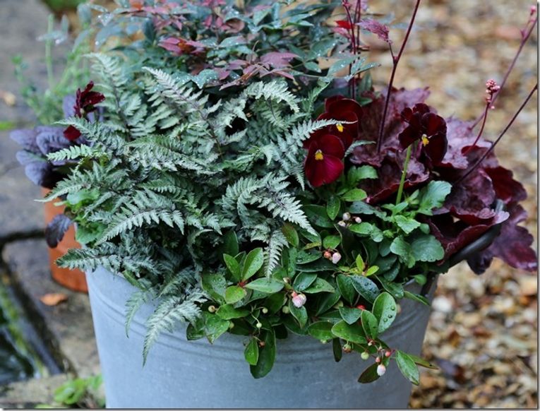 autumn planter ideas