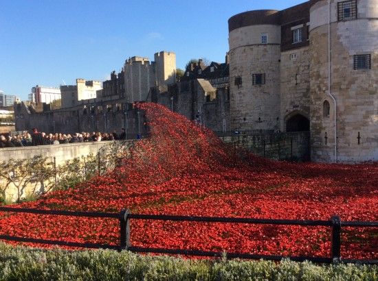 2 A wave of poppies in the moat