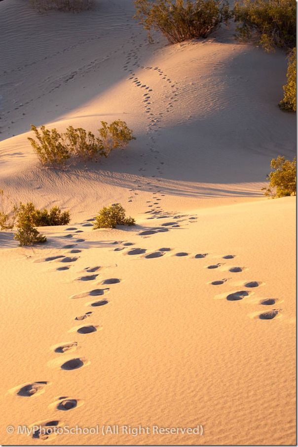 Beginners Guide, Compact Camera, landscape photography, Point & Shoot