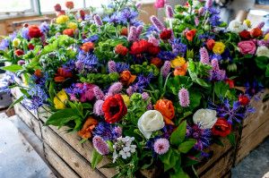 Hergest flower sale