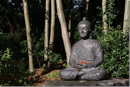 10. Buddah 
