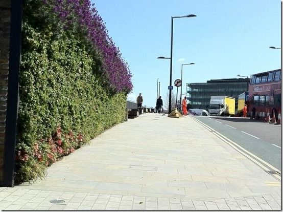 The Living Wall at The Guardian