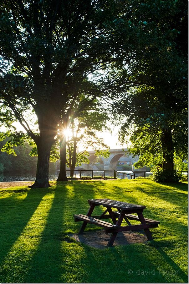 Picnic table and bench on the bank of the River Tyne at Tyne Green, backlit by early-morning summer sunshine, Hexham, Northumberland, Contrast, Exposure, online photography courses, Flare, burnt highlights, historgram, camera flash, shadows,