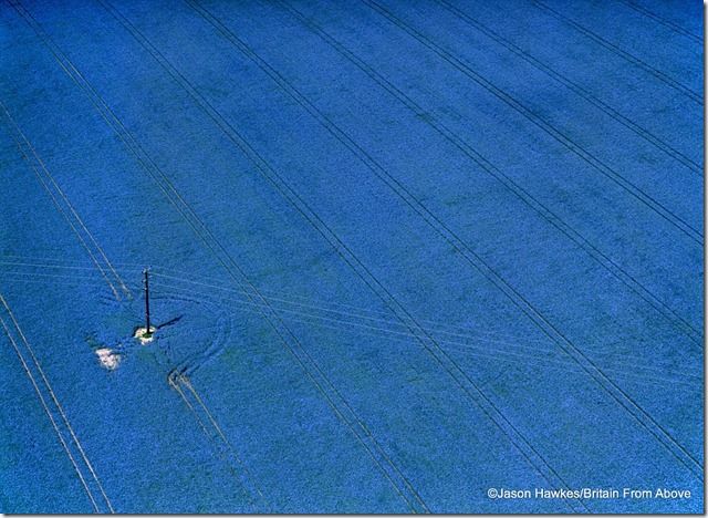Bluegrass A field of Flax in Buckinghamshire takes on magical properties