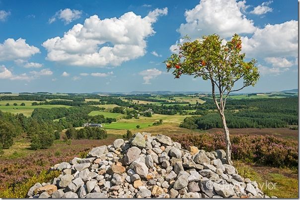 Looking at Harbottle and the Coquet Valley from a cairn on Harbottle Moor, Northumberland National Park, England