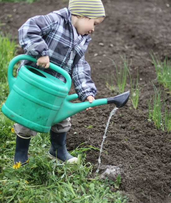 A boy watering soil