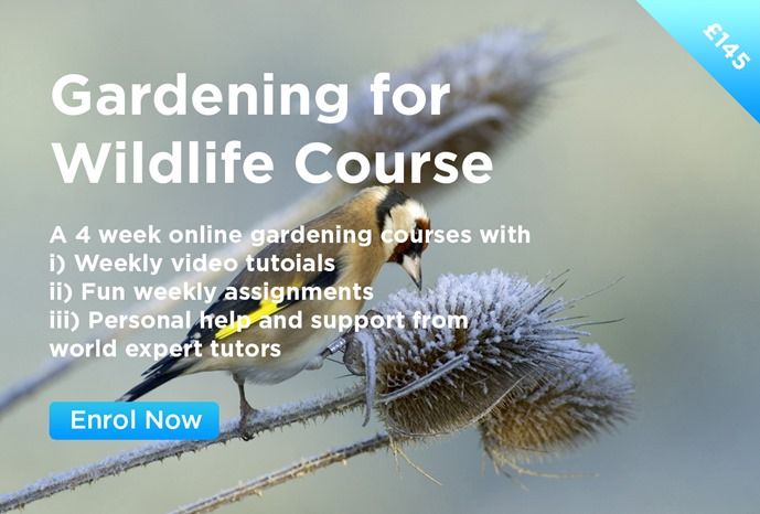 Gardening for Wildlife Course