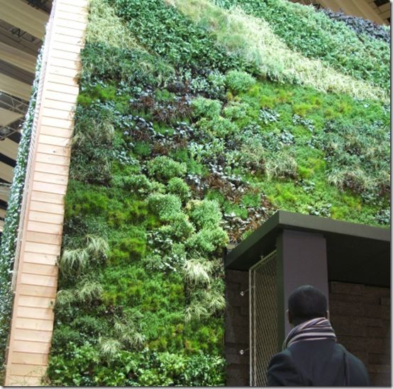 5Green Wall