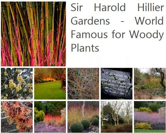Harold Hiller