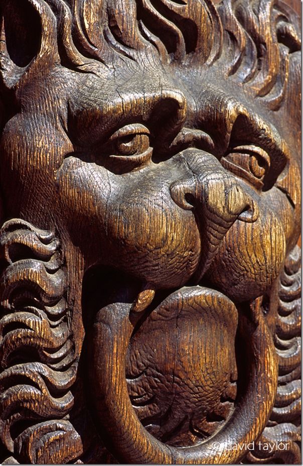 Wooden carving of a lion on the door to the city hall, Prague, Czech Republic, Travel Photography Tips, Travel Photography, Holiday photography, online photography courses,