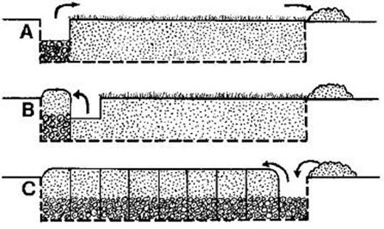 single digging, double digging, bastard trenching, basic digging, how to dig, soil preparation, preparing the soil, vegetable gardening, allotment gardening,