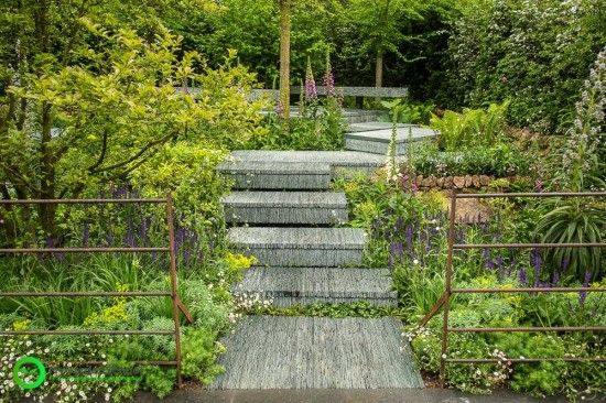 The Brewin Dolphin Garden Chelsea Flower Show 2015