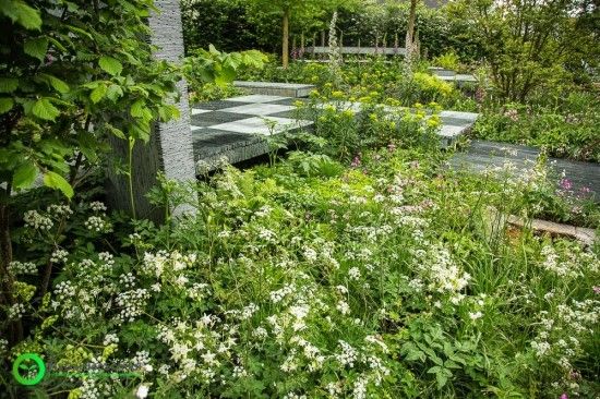 The Brewin Dolphin Garden Chelsea Flower Show 2015