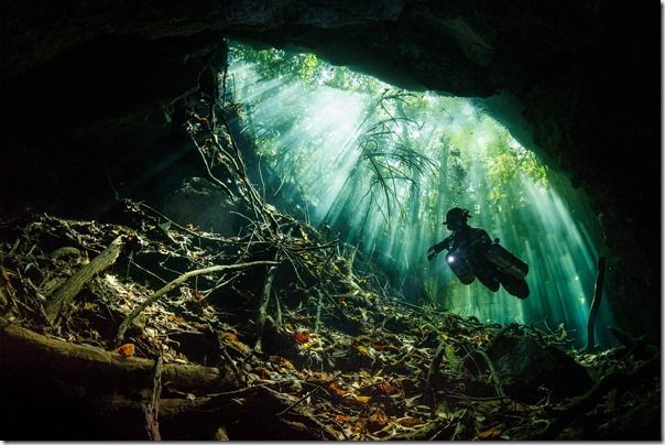 Diver - Terry Steeley