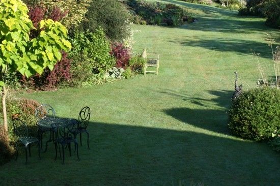 Autumn garden