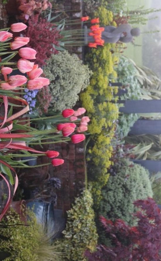 Tulips on the terrace 