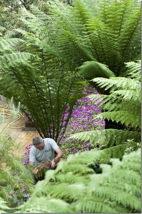 Gardening