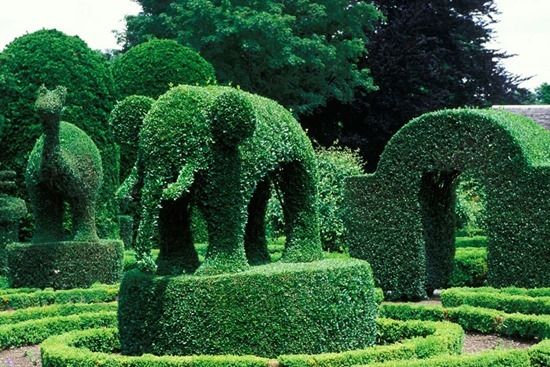 5 Animal topiary