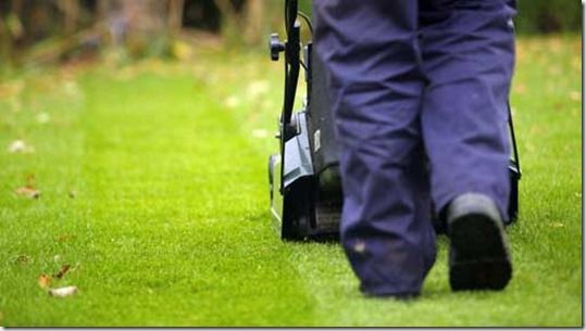 airating a lawn, airation, Autumn, Autumn Lawn Care, carbaryl, Corticium, Dollar spot, Fall lawn care, firtilizer, Fusarium, grass seed, Imidacloprid, lawn Pests and diseases, Leatherjackets, leaves, Mowing, re-seed, Spiking the lawn, Toadstools, trifloxystrobin