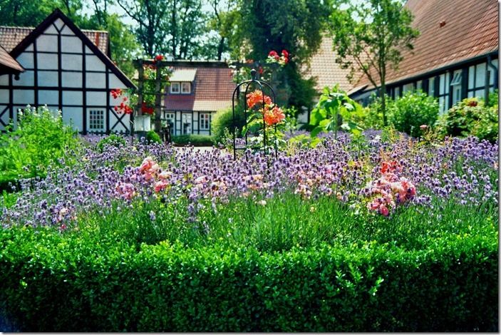 Schultenhof_Mettingen_Bauerngarten_8