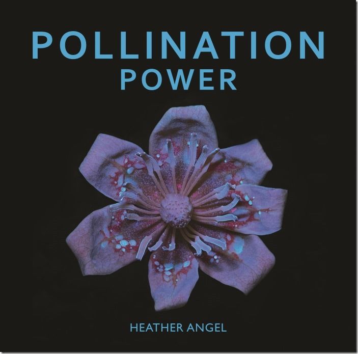 Pollination Power cover