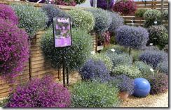 Lobelia Waterfall 