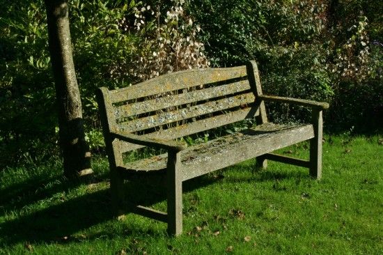 Bench on grass