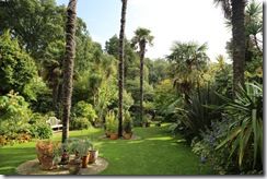 12.The lawn 