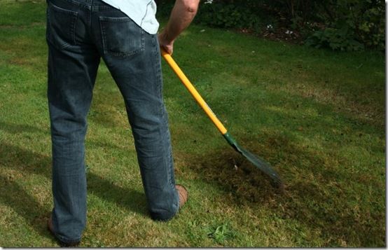 Andy raking moss