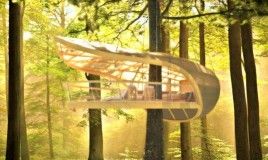 treehouse