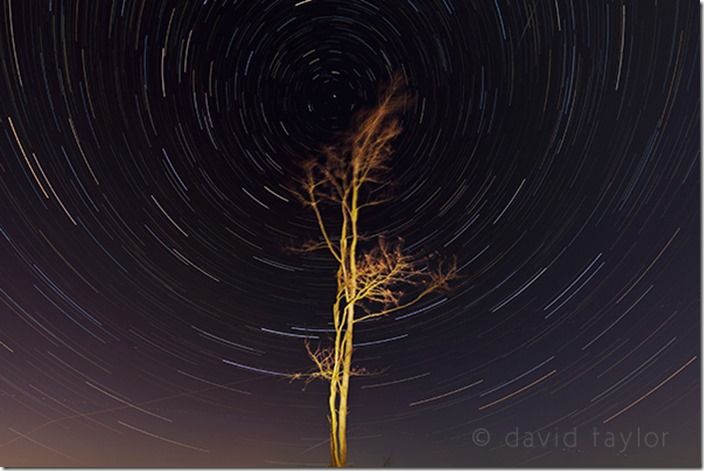 Star trails shot looking north from a field in Northumberland, England