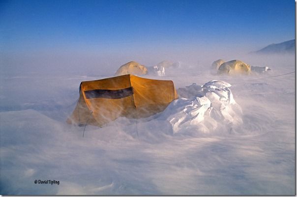 Camping in Antarctica in to photograph Emperor Penguins in early spring was at times like living in a chest freezer, David Tipling, Penguins: Close Encounters, Photography, Bird Photography, Wildlife Photography, Penguins